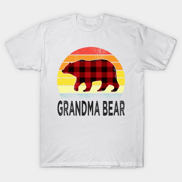 mothers day grandma bear T-Shirt by Bagshaw Gravity
